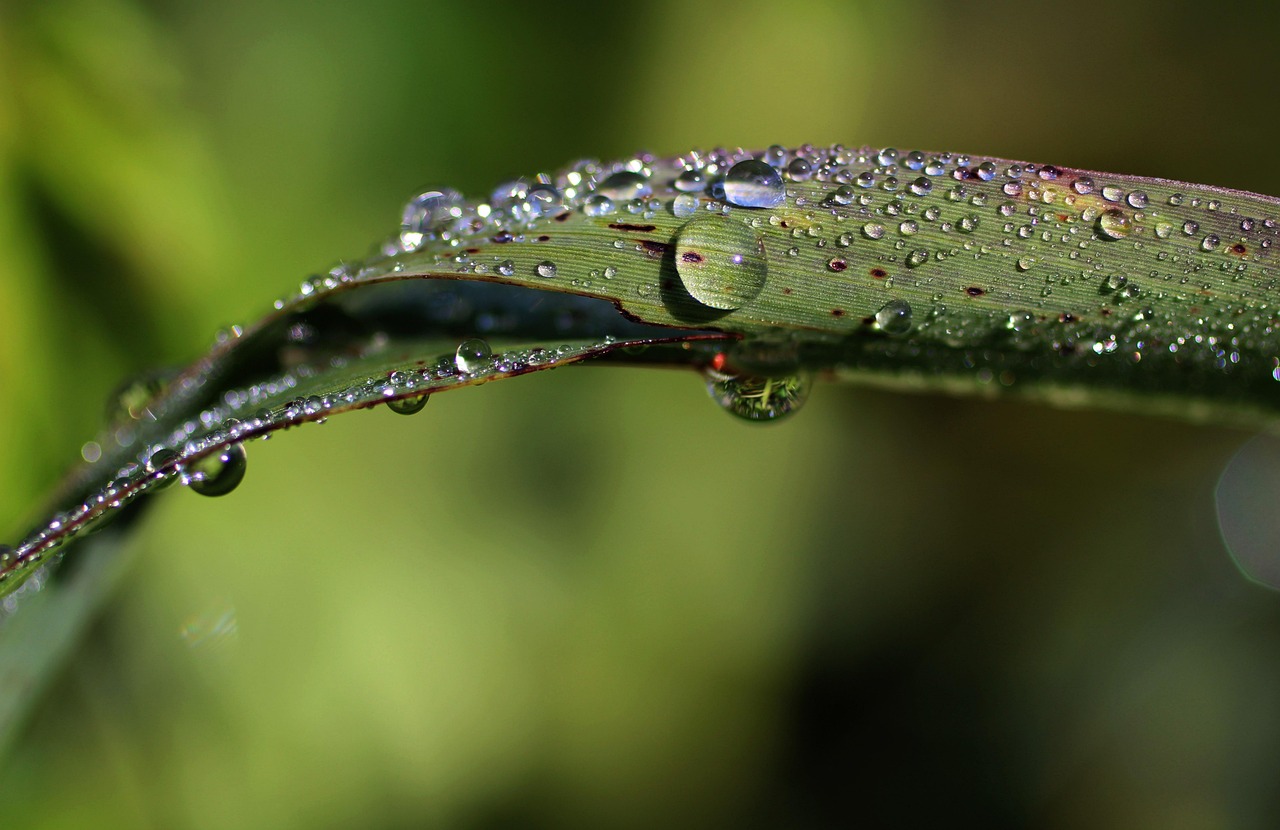 30代40代が内臓脂肪を落とすためのジムでの効果的なトレーニング方法は？